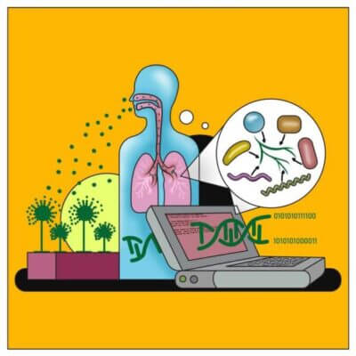 When Aspergillus fumigatus spreads its spores into the air, they can be inhaled and colonize the human lung. Bioinformatics tools can analyze the genetic information of the fungus and thus help to understand how the fungus shapes the lung microbiome to its own advantage.