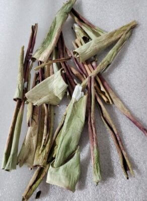 Discarded aloe peels could be a sustainable, natural insecticide