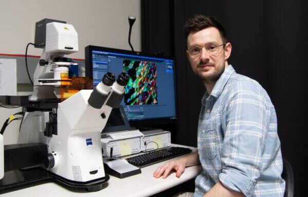 Molecule identified that could be key for a new wave of drugs to target obesity and bone diseases