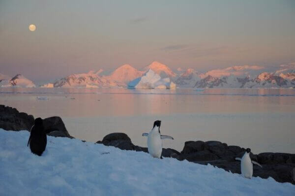 Antarctic extremes ‘virtually certain’ as world warms