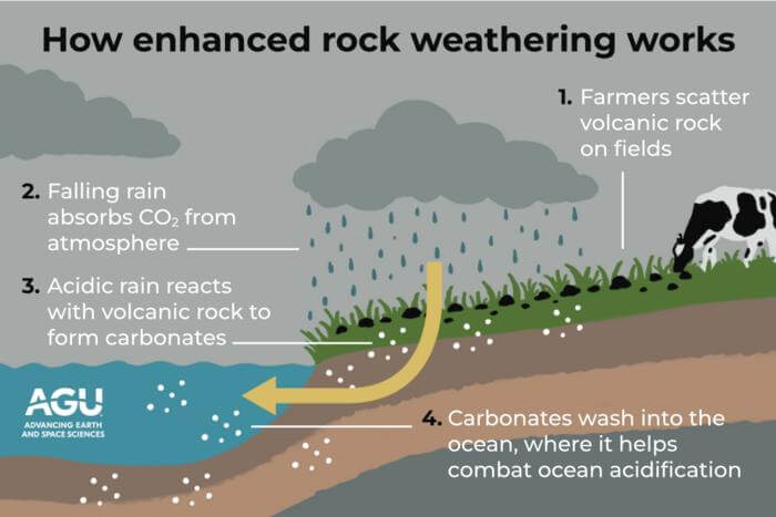 A climate intervention strategy called enhanced rock weathering, if applied globally, could help meet a key IPCC goal for slowing climate change, according to new research published in the AGU journal Earth’s Future. Enhanced rock weathering improves soil health, sequesters carbon, and combats ocean acidification.