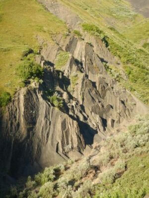 Scientists explore dinosaur ‘coliseum’ in Denali National Park