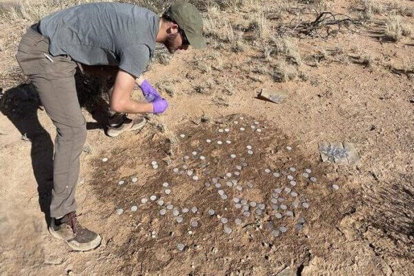 Soil microbiome, Earth’s ‘living skin’ under threat from climate change