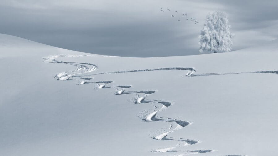 Tracks in snow. Pixabay