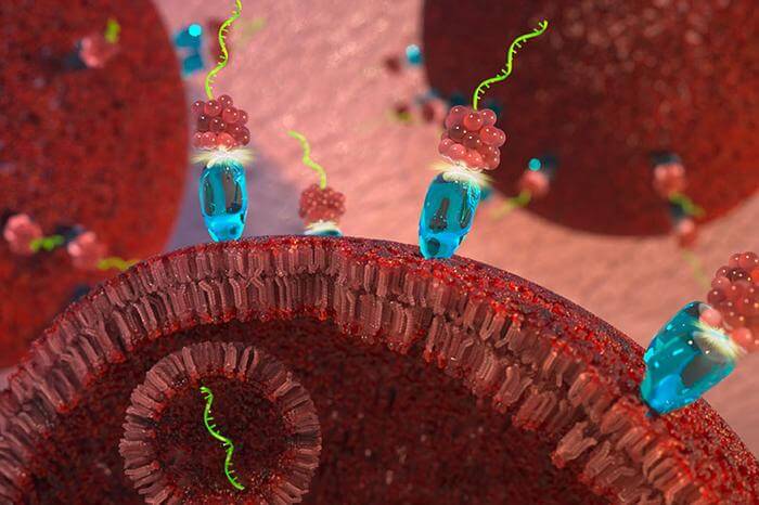 A new therapy targets cancer cells with a modified strand of micro-RNA that naturally blocks cell division.