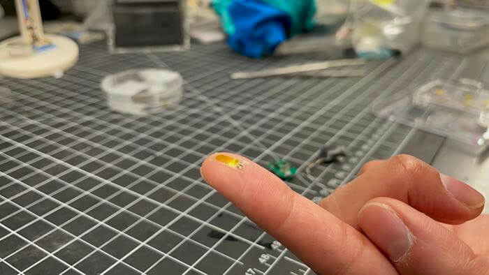 Sensor on fingertip
