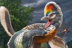 Life reconstruction of the 150-million-year-old avialan theropod Fujianvenator prodigiosus