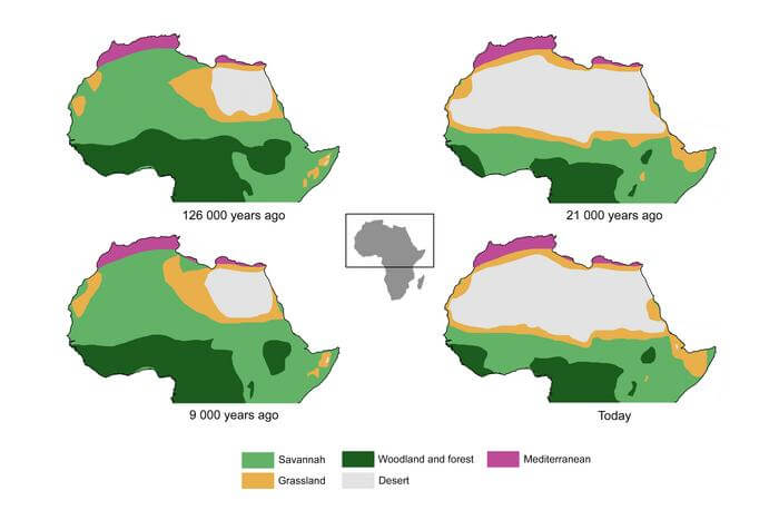 Changes of vegetation between humid and arid phases in North Africa. Vegetation zones are based on the minimum precipitation requirements of each vegetation type.