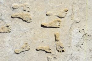 Ancient footprints in New Mexico