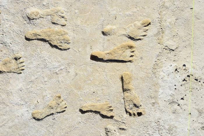 Ancient footprints in New Mexico