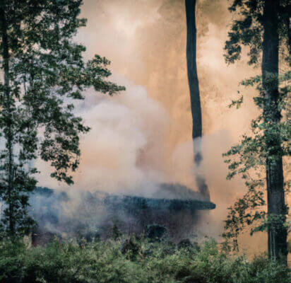 Smoke in a forest