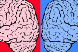 warhol-style-illustration-of-two-brains-face-to-face.-The-left-half-has-a-red-background-and-blue-brain.-The-right-half-has-a-blue-background