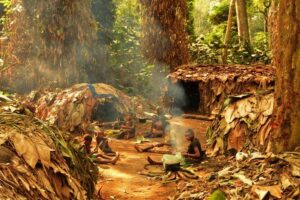 A Mbendjele camp in the Congo rainforest