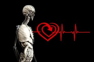 Illustration of a skeleton and heart and heart signal. Pixabay