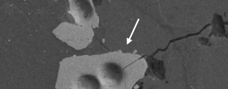 A lunar zircon grain under a microscope. Credit: Jennika Greer