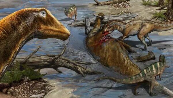 Surprising insights into feeding habits of carnivorous dinosaurs in North America