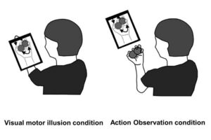 Volunteers were asked to try to rotate two balls around each other on their hands under two different learning conditions.