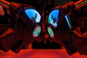 Immersive VR goggles for mice unlock new potential for brain science