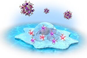 europium complexes changing structure