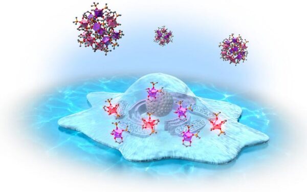 europium complexes changing structure