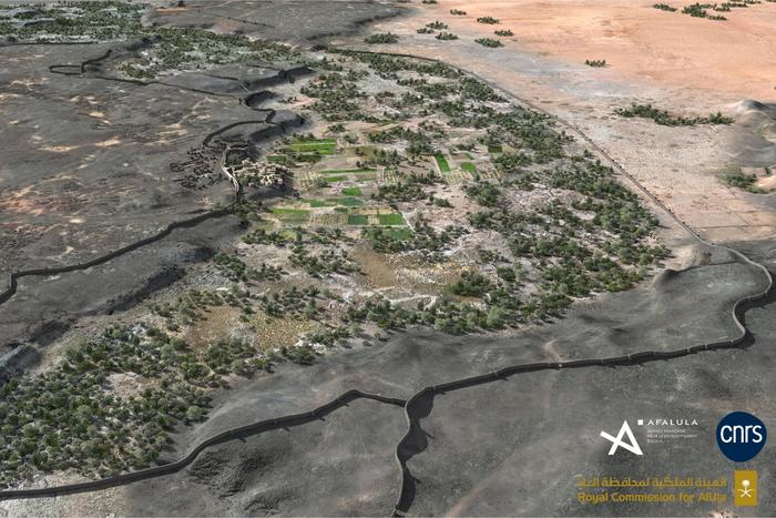 Digital reconstruction of the rampart network from the northern section of the Khaybar walled oasis 4,000 years ago.