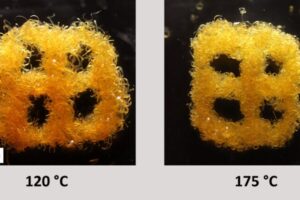 The shape-changing polymer ribbons can change their volume upon an environmental change, like temperature. Courtesy of Taylor Ware