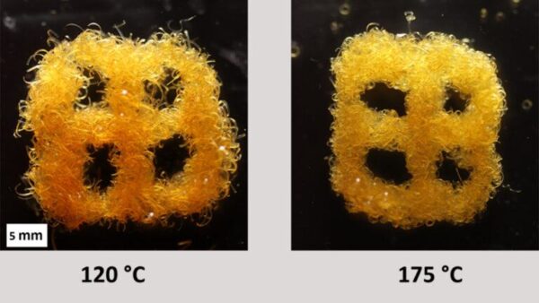 The shape-changing polymer ribbons can change their volume upon an environmental change, like temperature. Courtesy of Taylor Ware