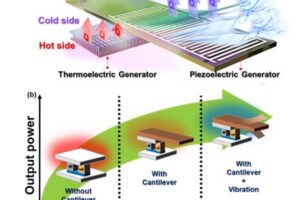 Hybrid energy harvesters that harness heat and vibration simultaneously