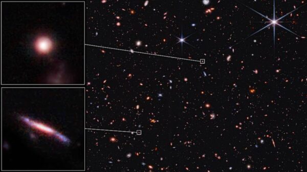 Sample shapes of distant galaxies identified by the James Webb Space Telescope’s Cosmic Evolution Early Release Science (CEERS) survey. [(Credit: NASA, ESA, CSA, STScI, Steve Finkelstein (UT Austin), Micaela Bagley (UT Austin), Rebecca Larson (UT Austin)]
