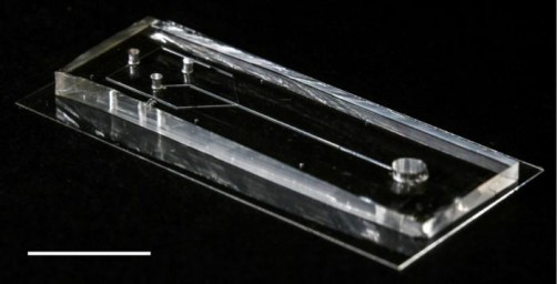 microfluidic device