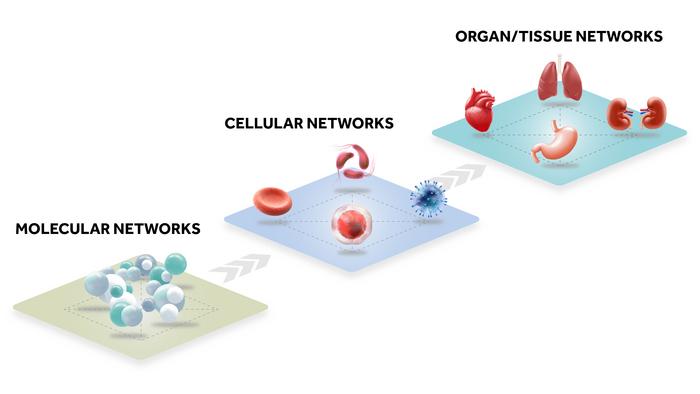 Biological networks are interconnected. Just as knowing the ingredients alone is not sufficient to understand how to prepare a dish, understanding only the list of genes or proteins is insufficient to comprehend how they interact.