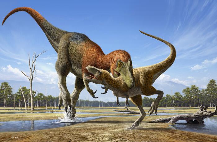 Artist illustration of Nanotyrannus attacking a juvenile T. rex.