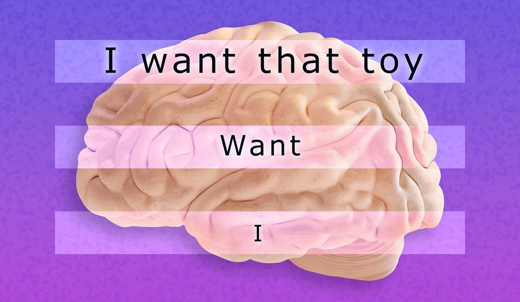 Re-frame of mind: Do our brains have a built-in sense of ‘grammar’?