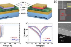 Two-dimensional material-based volatile and nonvolatile memory devices