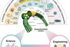 Each characteristic displayed in an integral part in ensuring the function of the SCC can be used to improve upon traditional carbon materials used in energy storage and conversion devices.