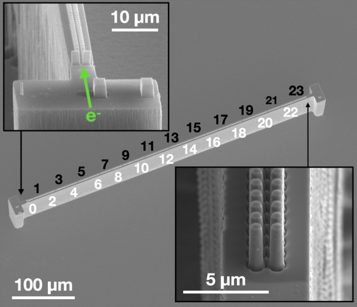 Scanning electron micrograph of a half-millimeter long dielectric laser accelerator through which electrons travel and accelerate. Cells labeled as black are longitudinally focusing and transversely defocusing (LFTD), while white are longitudinally defocusing transversely focusing (LDTF), which keeps the electrons on track. (Image credit: Broaddus, P., Egenolf, T., Black, D. S., Murillo, M., Woodahl, C., Miao, Y., … Solgaard, O. (2024). Subrelativistic Alternating Phase Focusing Dielectric Laser Accelerators. Phys. Rev. Lett., 132, 085001. doi:10.1103/PhysRevLett.132.085001)