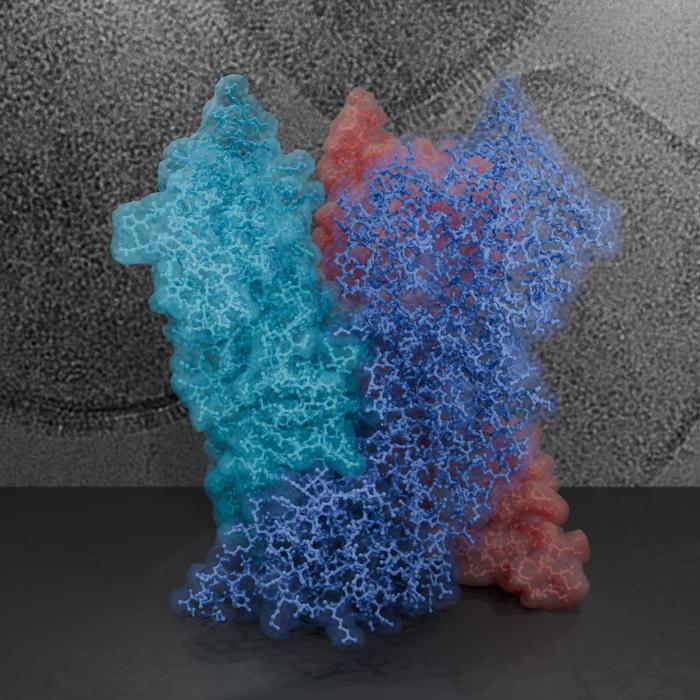 Structure of the poxviral core protein A10.