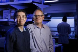 Jiantao Guo (left), professor of chemistry, and Janos Zempleni, Willa Cather Professor of molecular nutrition, were selected as Phase 1 winners in the National Institutes of Health's Targeted Genome Editor Delivery Challenge.