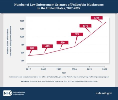 Law enforcement seizures of “magic mushrooms” or “shrooms” containing the psychoactive component psilocybin increased dramatically in the United States between January 2017 and December 2022, according to a new study funded by the National Institute on Drug Abuse, part of the National Institutes of Health.