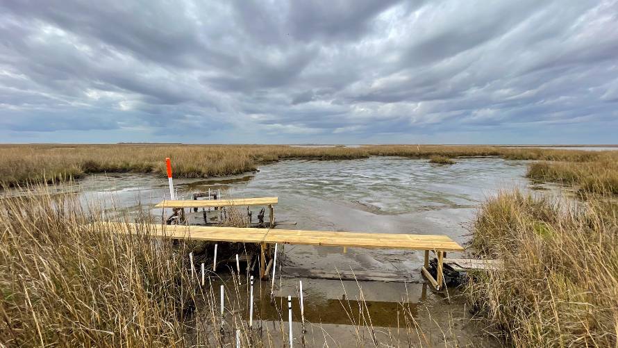 One of nearly 400 Coastwide Monitoring Reference System (CMRS) sites along the Louisiana coast where scientists collect data to measure wetland surface-elevation change. (Photo courtesy Guandong Li/Tulane University)