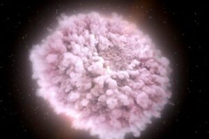 a fuzzy, pink nucleus