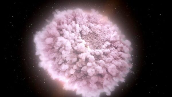 a fuzzy, pink nucleus