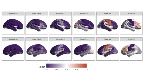 Six transient states of brain connectivity ide...                    </div>

                    <div class=