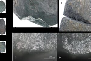 Characteristic macroscopic (top) and microscopic (bottom) traces might be used to determine how stone edges were used.