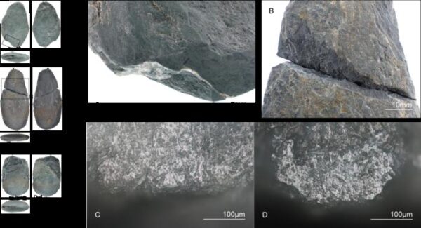 Characteristic macroscopic (top) and microscopic (bottom) traces might be used to determine how stone edges ...                    </div>

                    <div class=