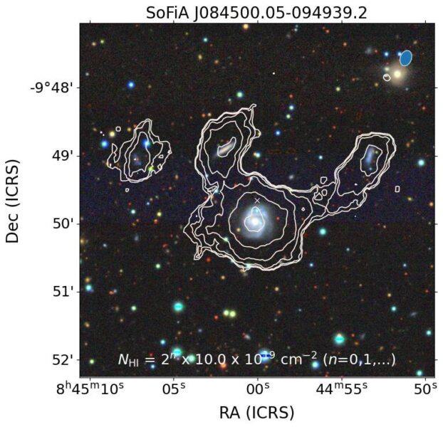 Four nearby galaxies as part of the set of 49 found by MeerKAT, shown by the white contours. Three of the galaxies are connected together by their gas content. The largest galaxy is stealing gas from two neighbouring galaxies. The background colour image is from the DECaLS DR10 optical survey. Glowacki et al. 2024