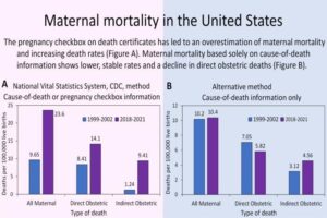 maternal death rate charts