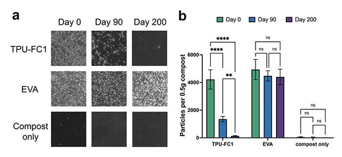 Particle counts of petroleum-based (EVA) and plant-based (TPU-FC1) microplastics show that, over time, EVAs exhibit virtually no biodegradation, while the TPUs have mostly disappeared by day 200.