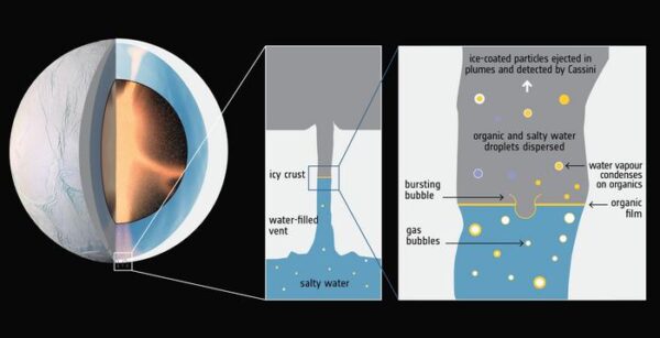 The drawing on the left depicts Enceladus and its ice-covered ocean, with cracks near the south pole that are believed to penetrate through the icy crust. The middle panel shows where authors believe life could thrive: at the top of the water, in a proposed thin layer (shown yellow) like on Earth’s oceans. The right panel shows that as gas bubbles rise and pop, bacterial cells could get lofted into space with droplets that then become the ice grains that were detected by Cassini.