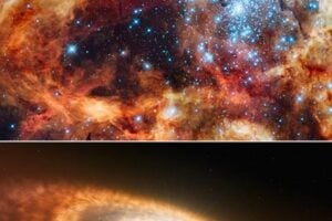 The ULLYSES program studied two types of young stars: super-hot, massive, blue stars and cooler, redder, less massive stars than our Sun. The top panel is a Hubble Space Telescope image of a star-forming region containing massive, young, blue stars in 30 Doradus, the Tarantula Nebula. Located within the Large Magellanic Cloud, this is one of the regions observed by ULLYSES. The bottom panel shows an artist's concept of a cooler, redder, young star that's less massive than our Sun. This type of star is still gathering material from its surrounding, planet-forming disk.